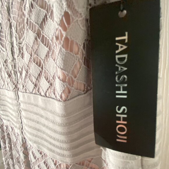 Tadashi Shoji, Dumin Lace Dress in Pewter, Size 10 - Picture 2 of 11